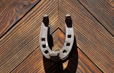 Iron horseshoe